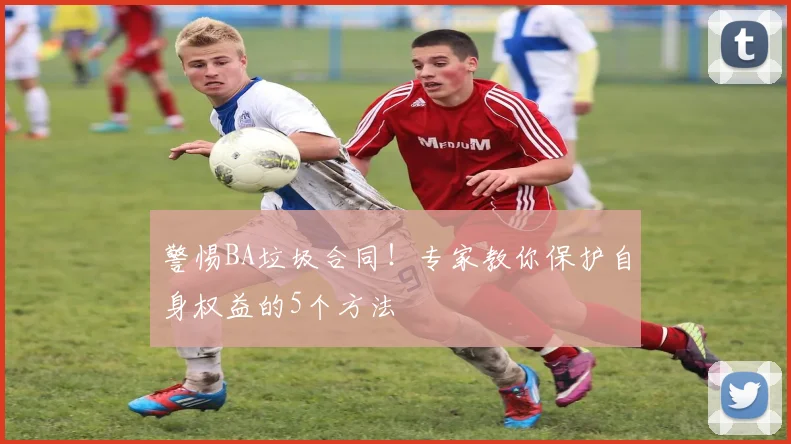 警惕BA垃圾合同！专家教你保护自身权益的5个方法