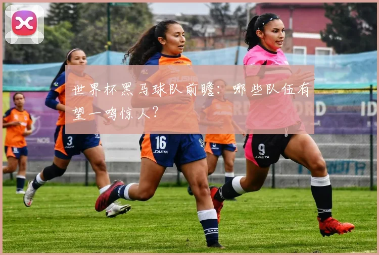世界杯黑马球队前瞻:哪些队伍有望一鸣惊人?