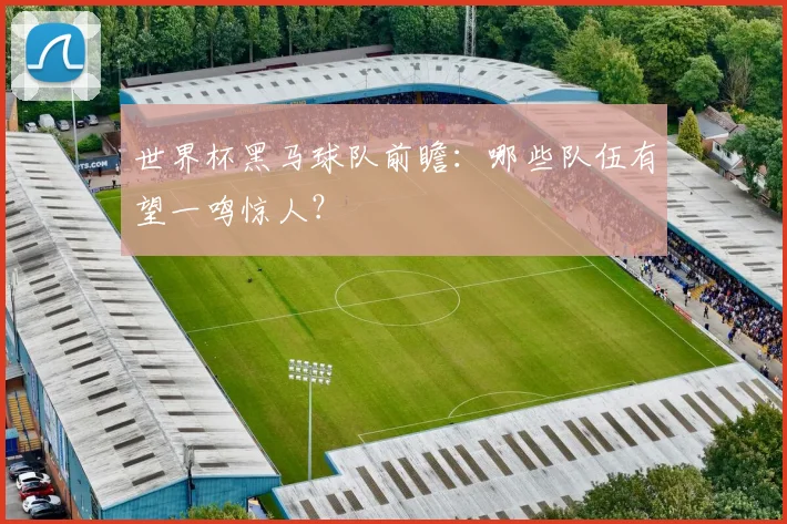 世界杯黑马球队前瞻:哪些队伍有望一鸣惊人?
